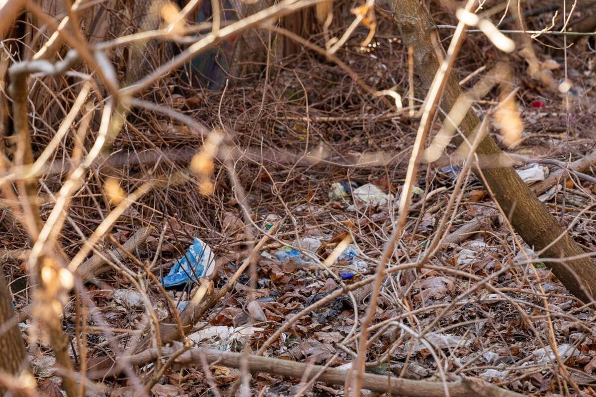 Aleksandras Žukovas