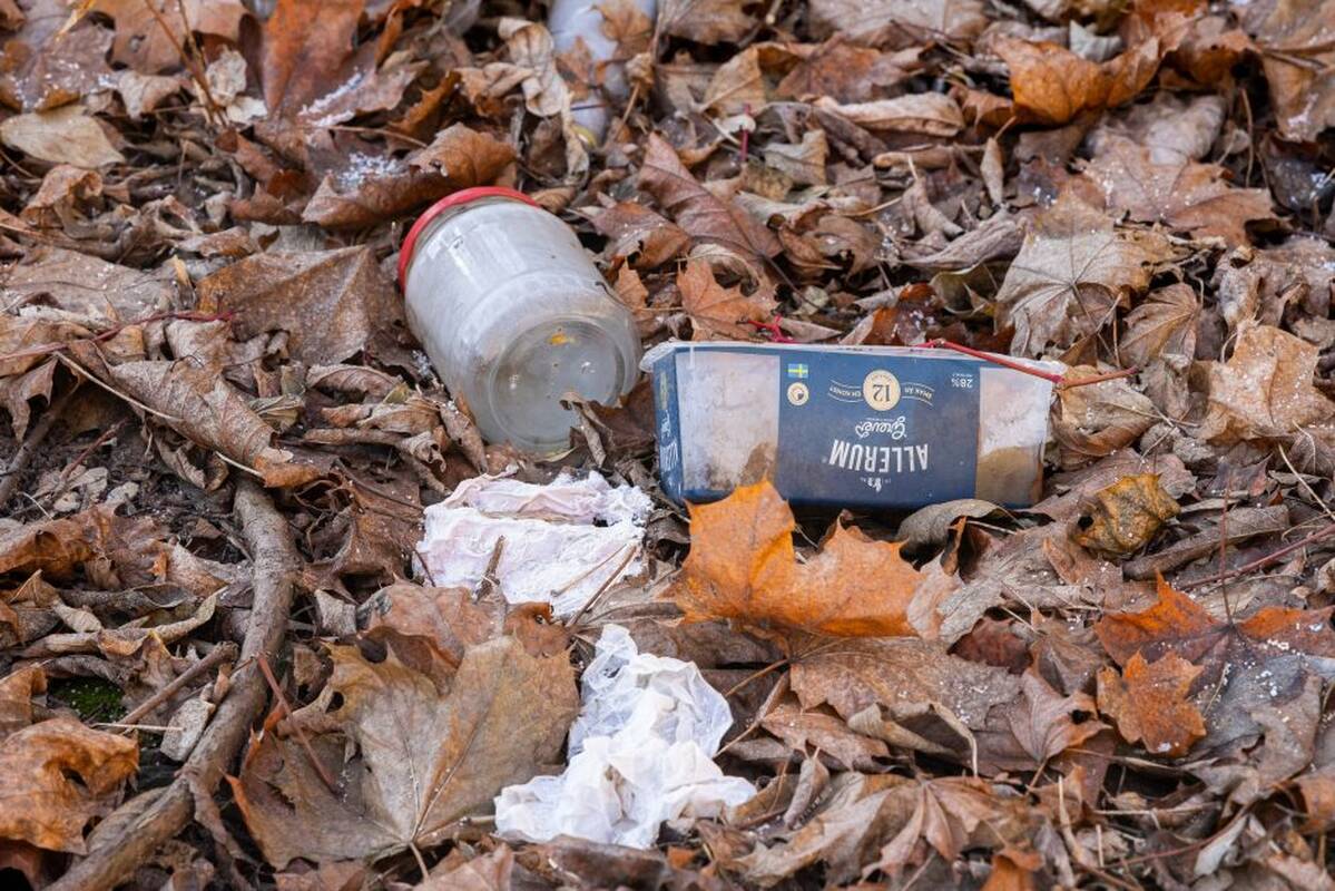 Aleksandras Žukovas