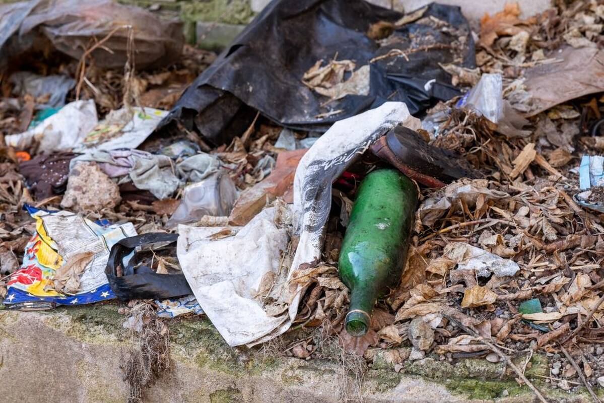 Aleksandras Žukovas