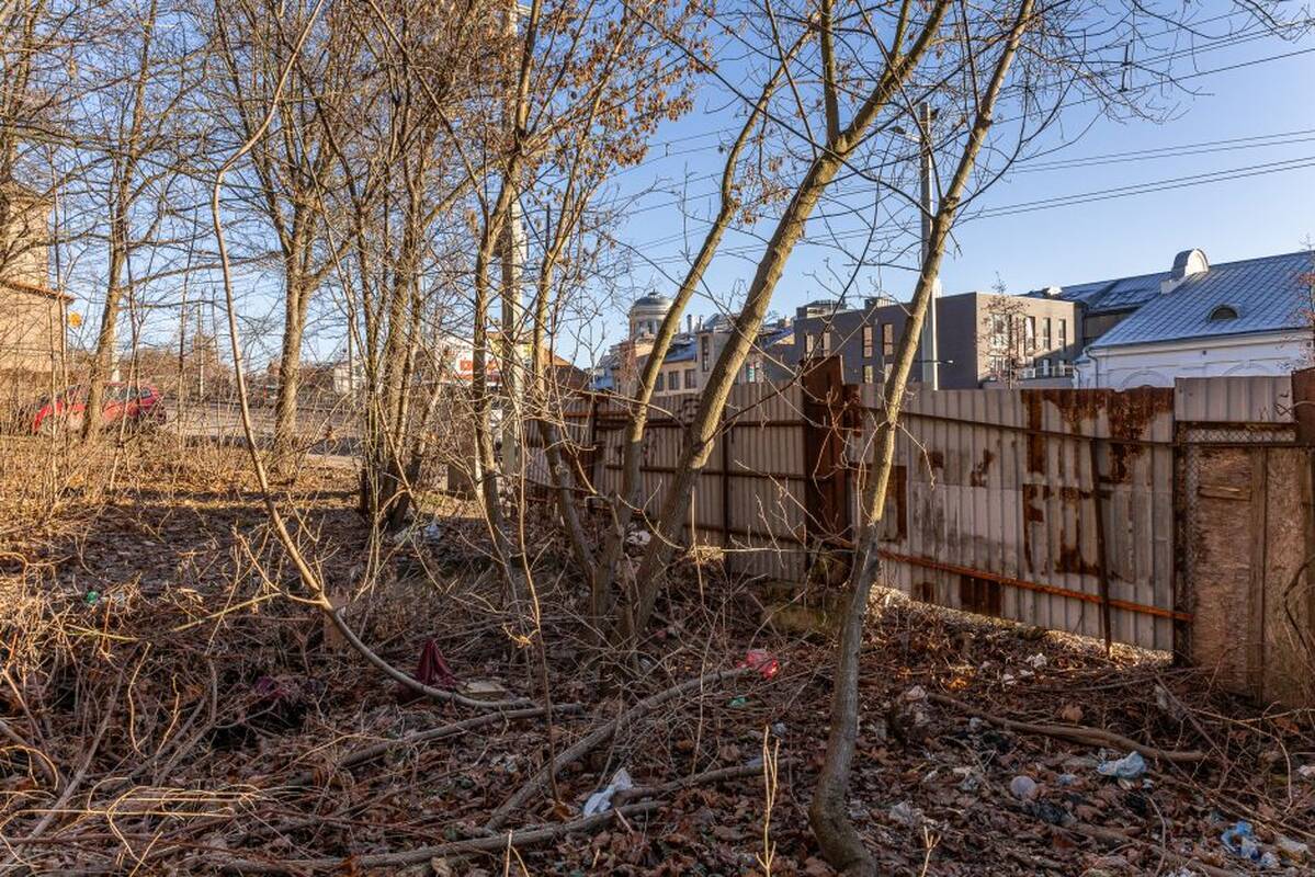 Aleksandras Žukovas