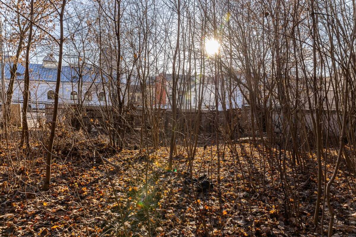 Aleksandras Žukovas