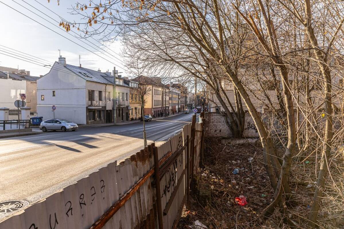 Aleksandras Žukovas