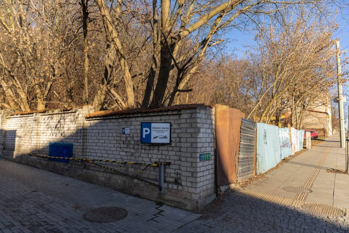 Aleksandras Žukovas