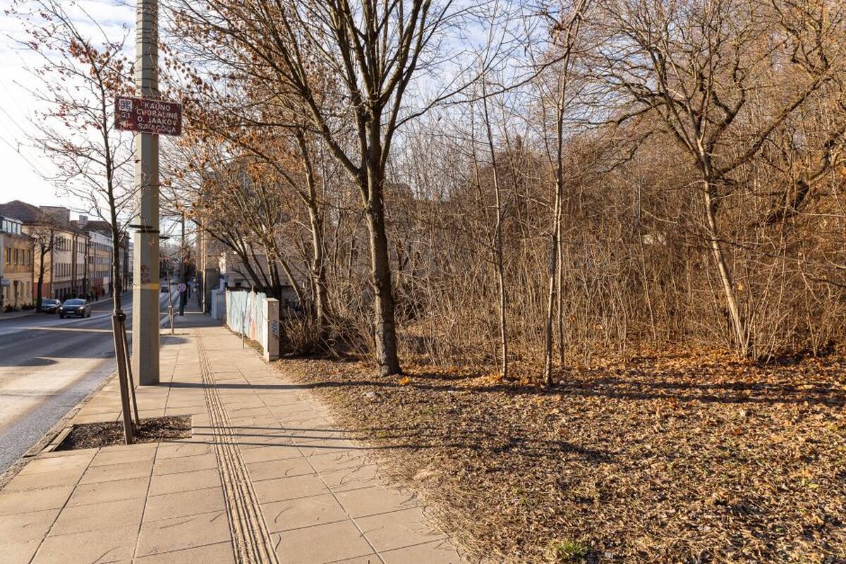 Aleksandras Žukovas