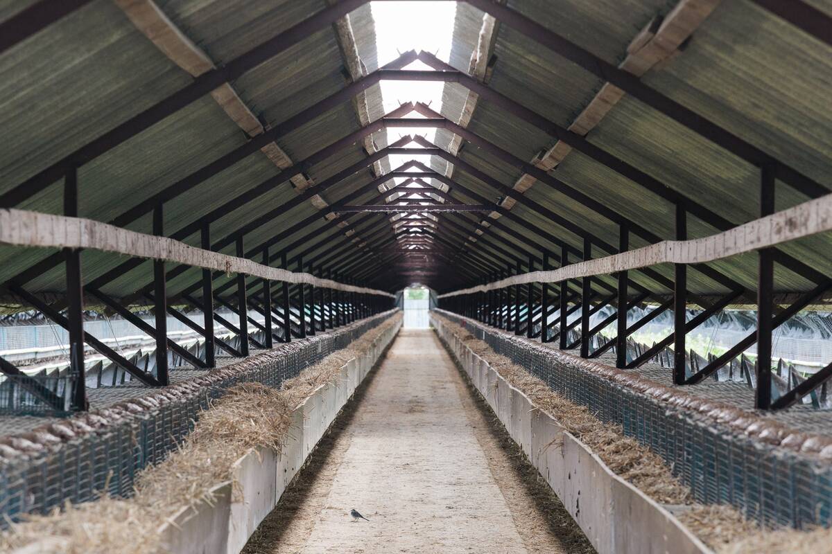 Skirtumas: 2023 m. atliktame vertinime buvo minima, kad bus padaryta daugiau nei 57 mln. eurų žala dėl kailinių žvėrelių ūkių draudimo, bet Seimui pateikta, kad kompensacijoms prireiks vos 1 mln. eurų.