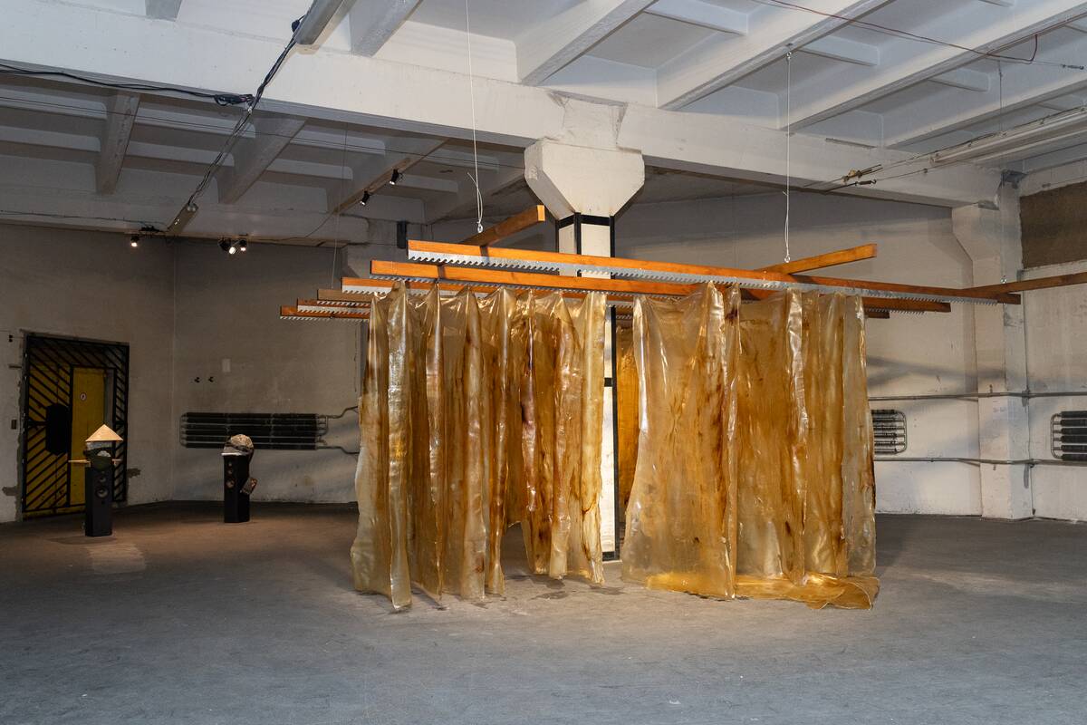 Ruoru Mou. Dirbtinės odos raugyklos instaliacija.