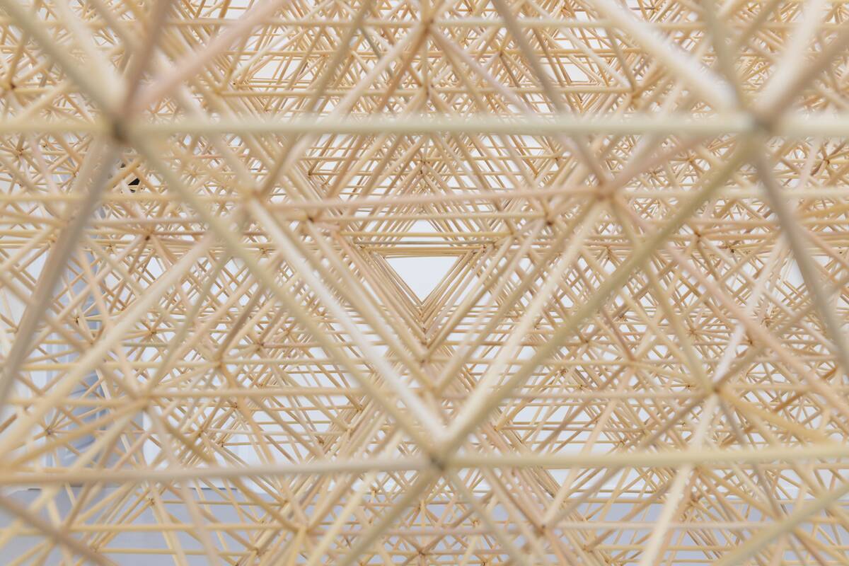 Violeta Dabrilienė. Sodas.