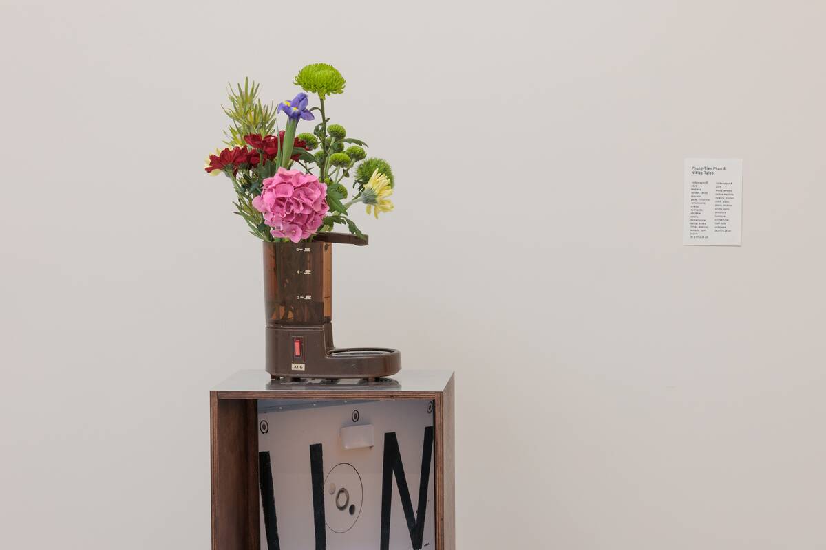 Phung-Tien Phan. Volkswagen 8.