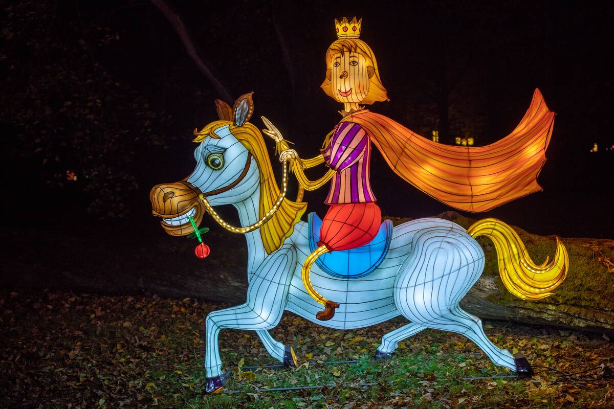 Kakės Makės šviesų parkas