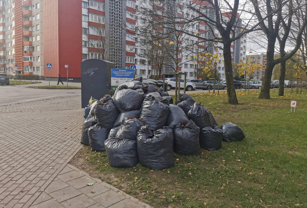 Darbai: į maišus sukrautų lapų daugėja, ypač prie daugiabučių namų, tarp jų – ir prie I. Simonaitytės g. 12 namo.
