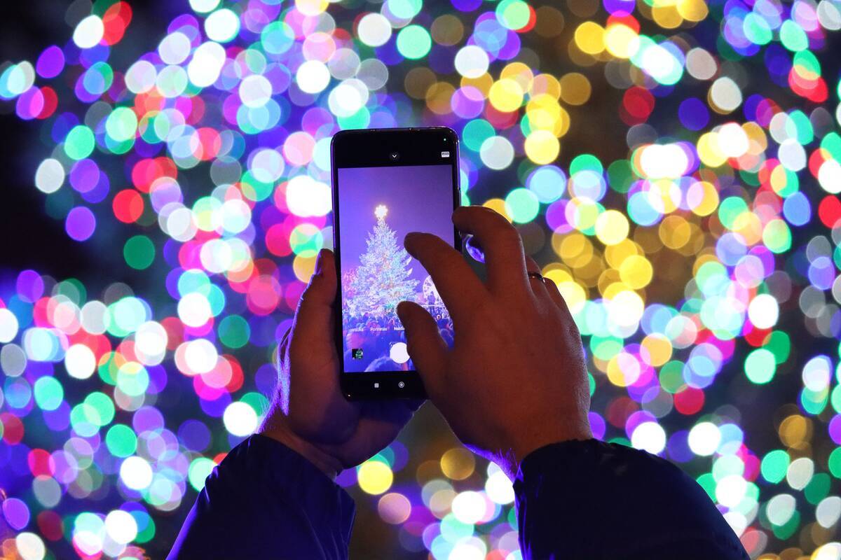 Klaipėdos eglutės įžiebimas – jau šįvakar