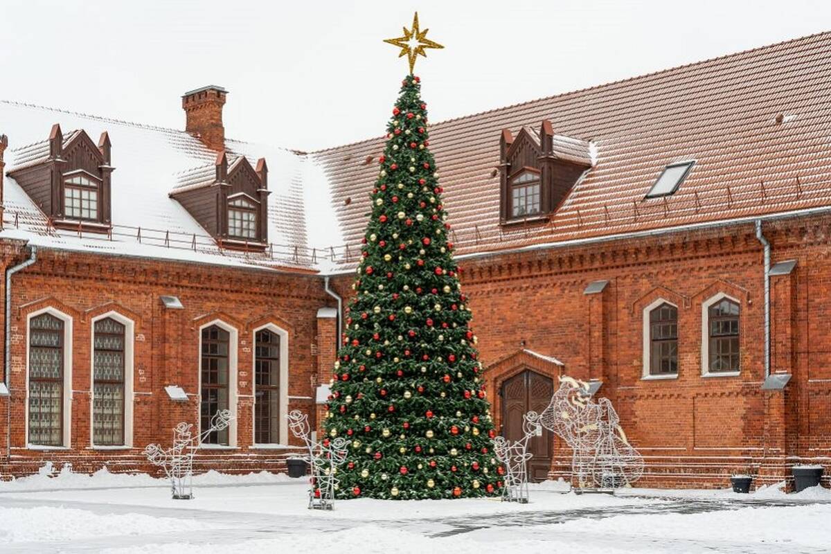 Kada ir kur nušvis eglutės Kauno rajone