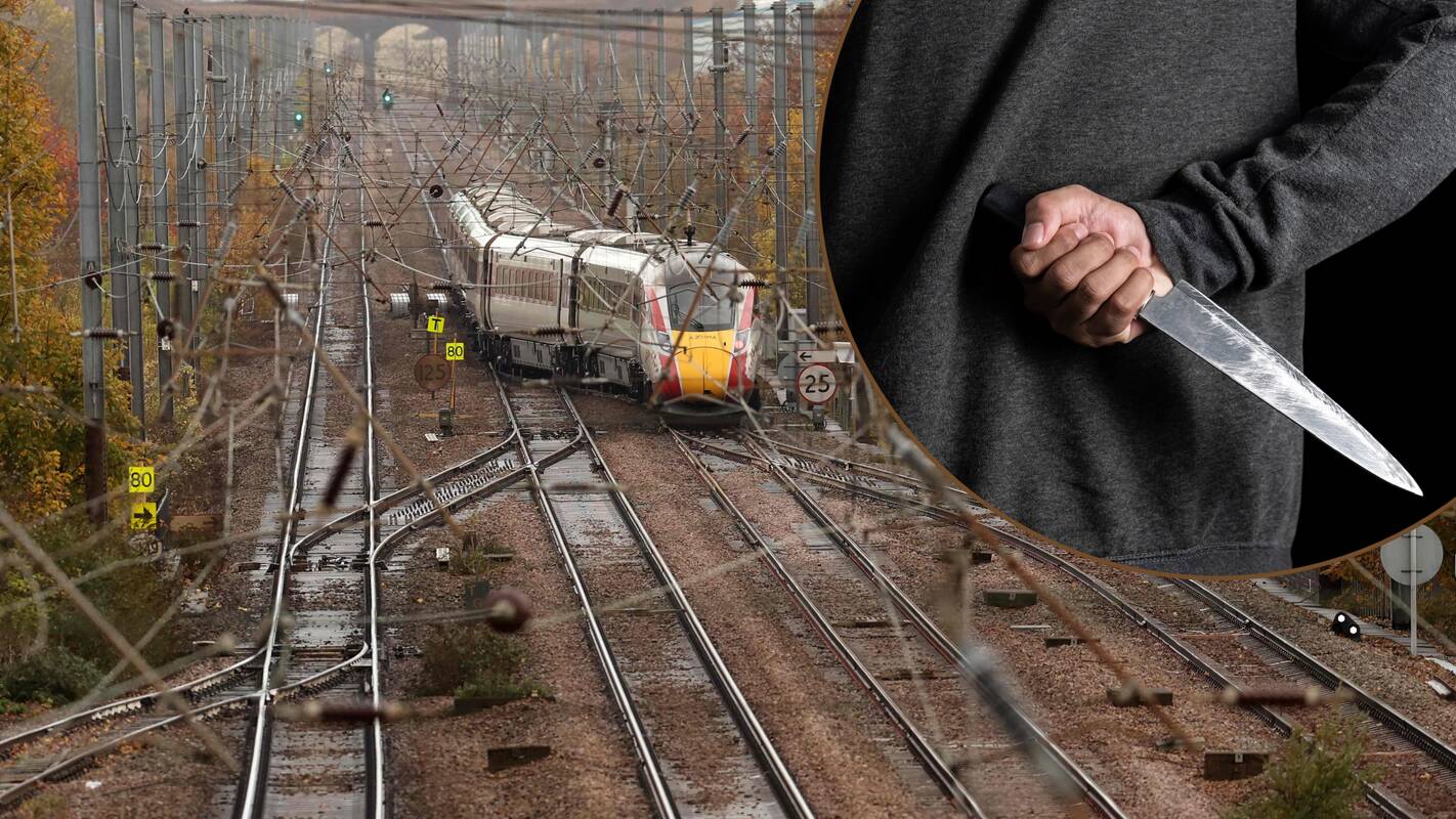 Išpuolis traukinyje: moteris atskleidė šiurpius peiliu ginkluoto užpuoliko žodžius