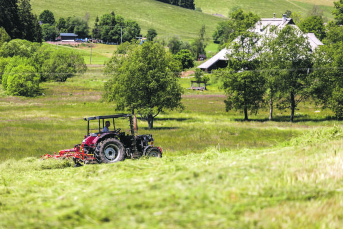 Vizija: jeigu valstybės žemė ribojasi su dviejų norinčių ją pirkti ūkininkų sklypais, vyktų uždaras aukcionas. Tokių sklypų yra 110 tūkst., o jų bendras plotas siekia 127 tūkst. ha.