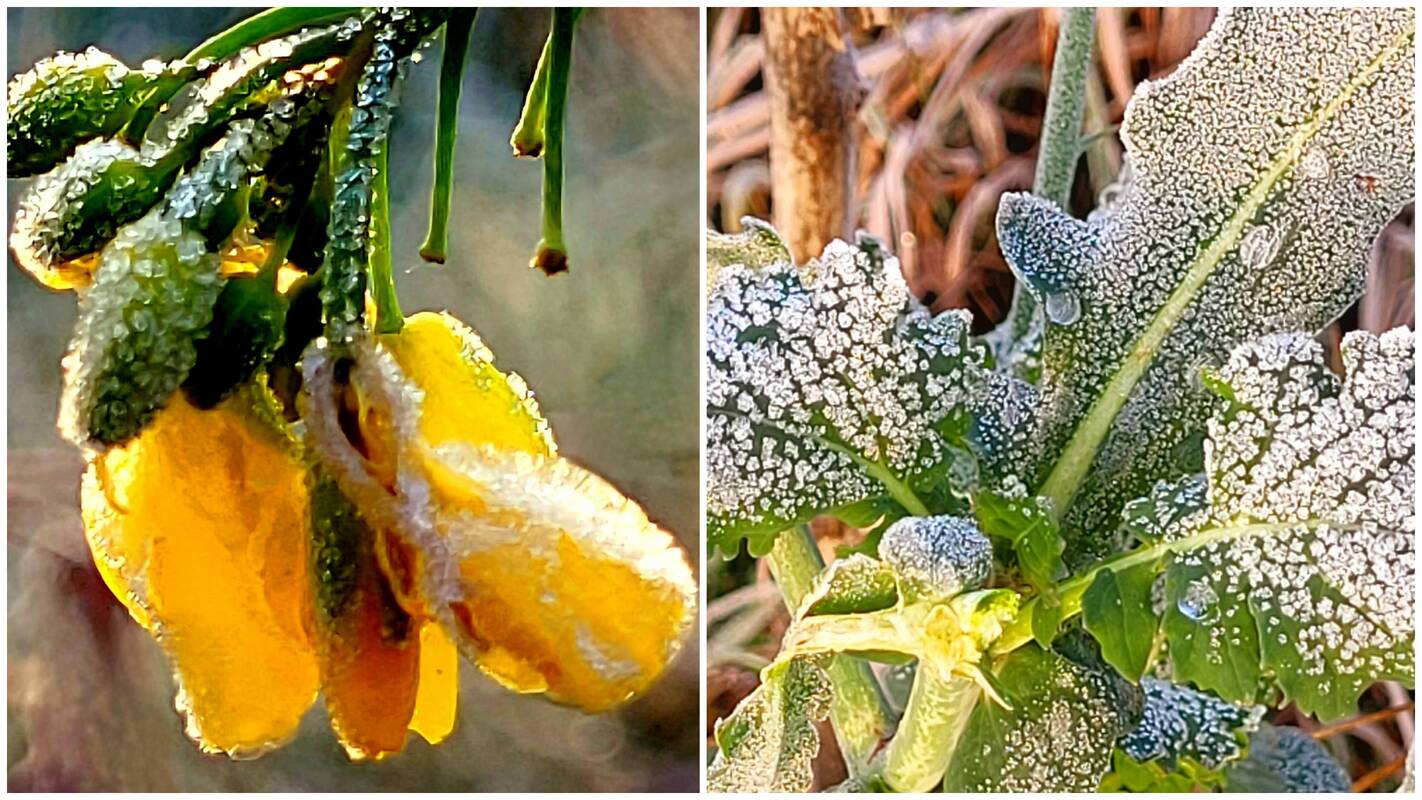 Naujausia orų prognozė: tai tęsis