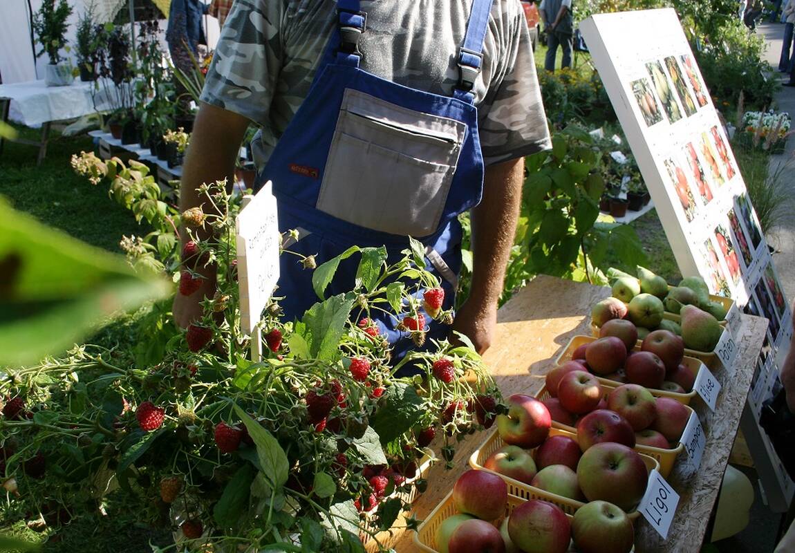 Ministerija skyrė 3,3 mln. eurų šioms kompensacijoms: ragina teikti prašymus