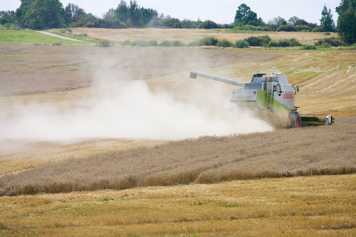 Vyriausybė didina įmokų kompensacijas už apdraustus pasėlius