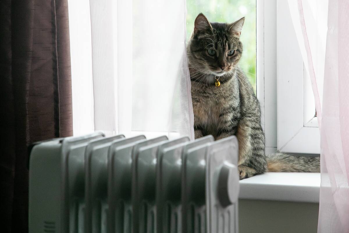 Jums gali priklausyti parama už šildymą – štai ką reikia žinoti