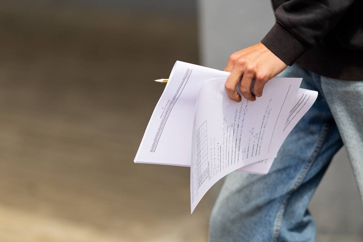 Žvirdauskas: mes pudruojame problemą