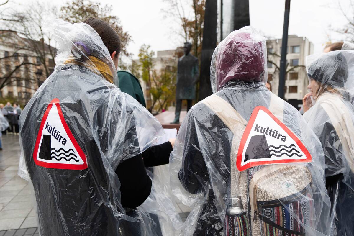 Sporto bendruomenė jungiasi prie finalinio kultūros atstovų mitingo