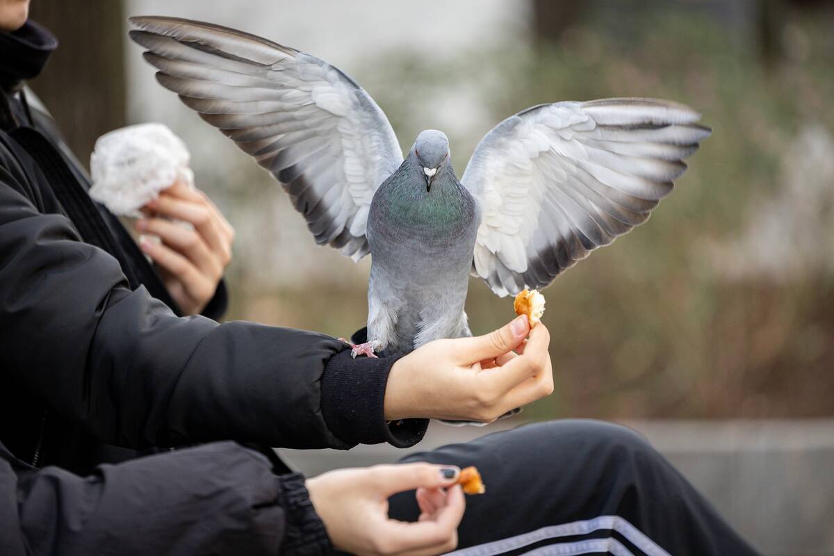 Dienos horoskopas 12 Zodiako ženklų (lapkričio 7 d.)
