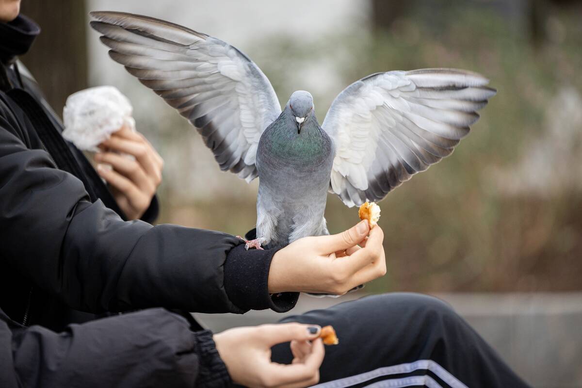 Dienos horoskopas 12 Zodiako ženklų (lapkričio 8 d.)
