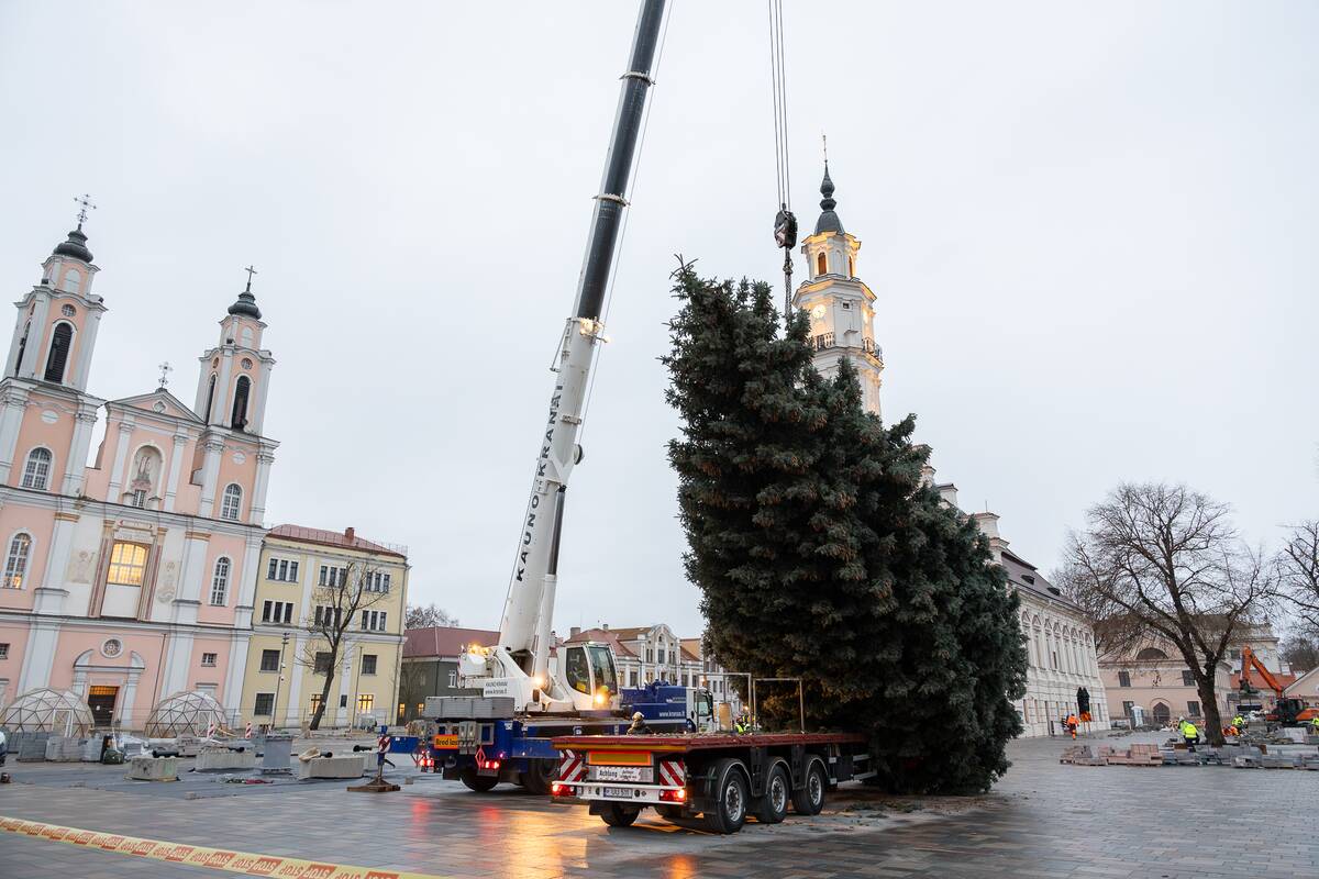 Kauno kalėdinė eglutė