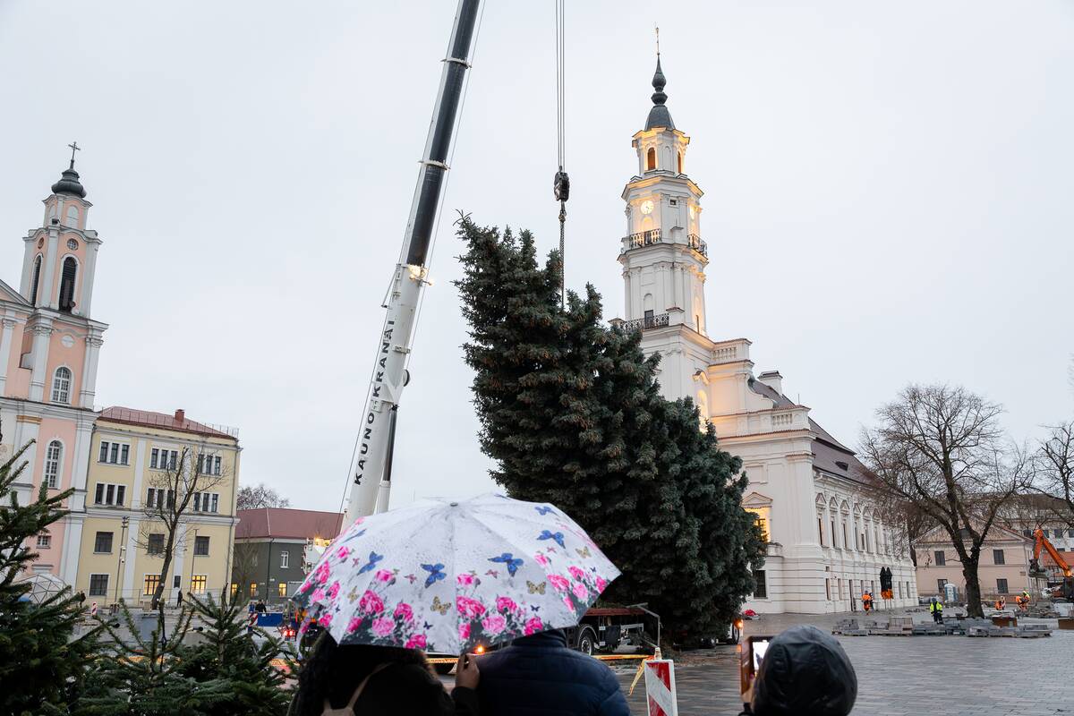 Kauno kalėdinė eglutė