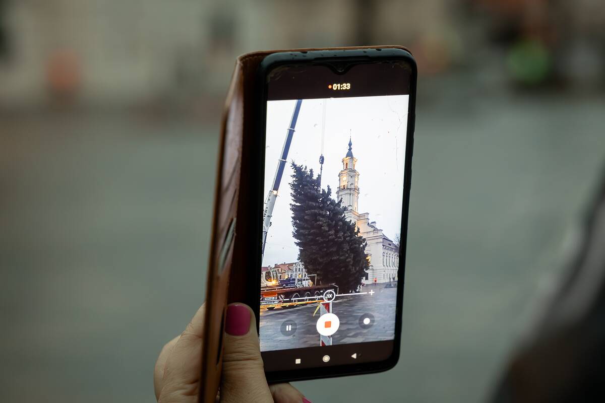 Kauno kalėdinė eglutė