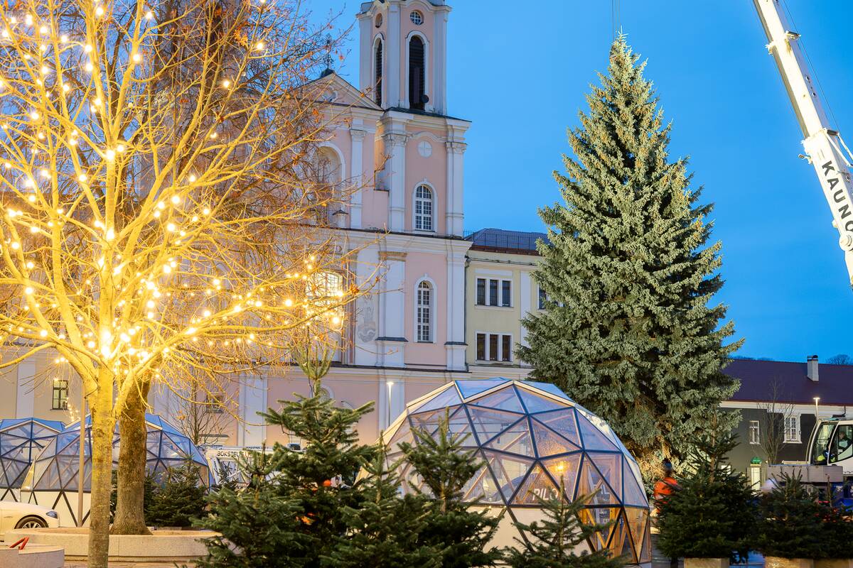 Kauno kalėdinė eglutė