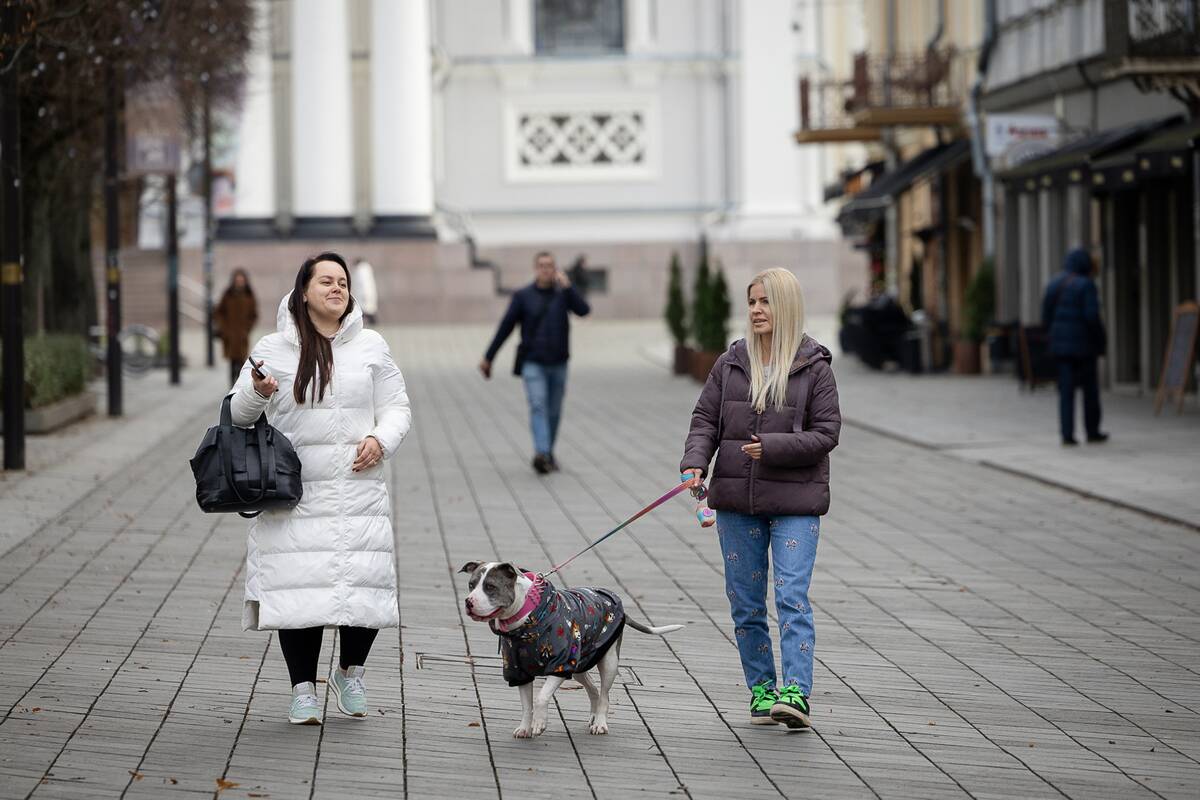 Kauniečių diena (2025-11-20)