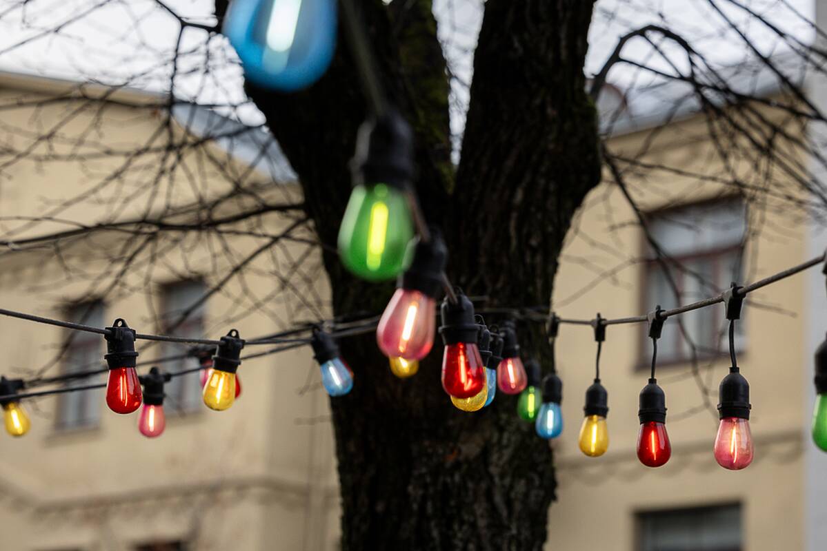 Kalėdinės Kauno vitrinos