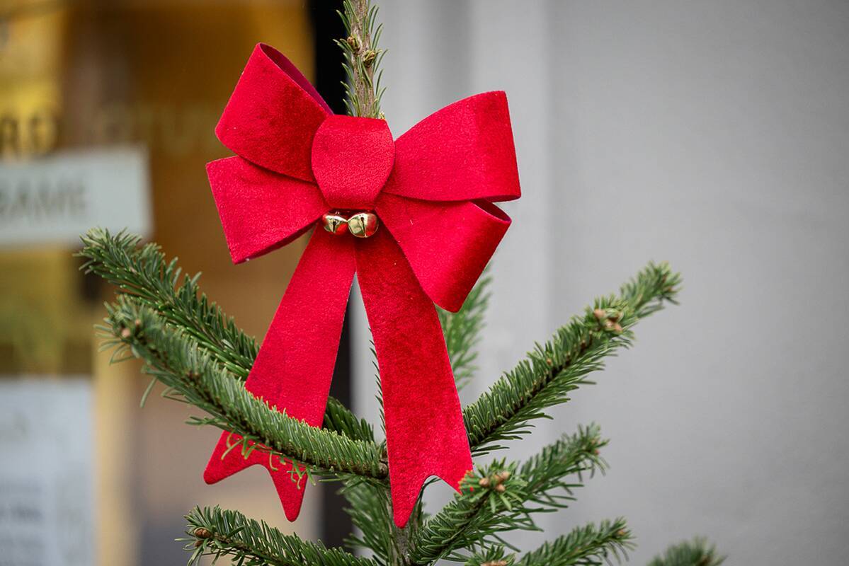 Dienos horoskopas 12 Zodiako ženklų (lapkričio 21 d.)