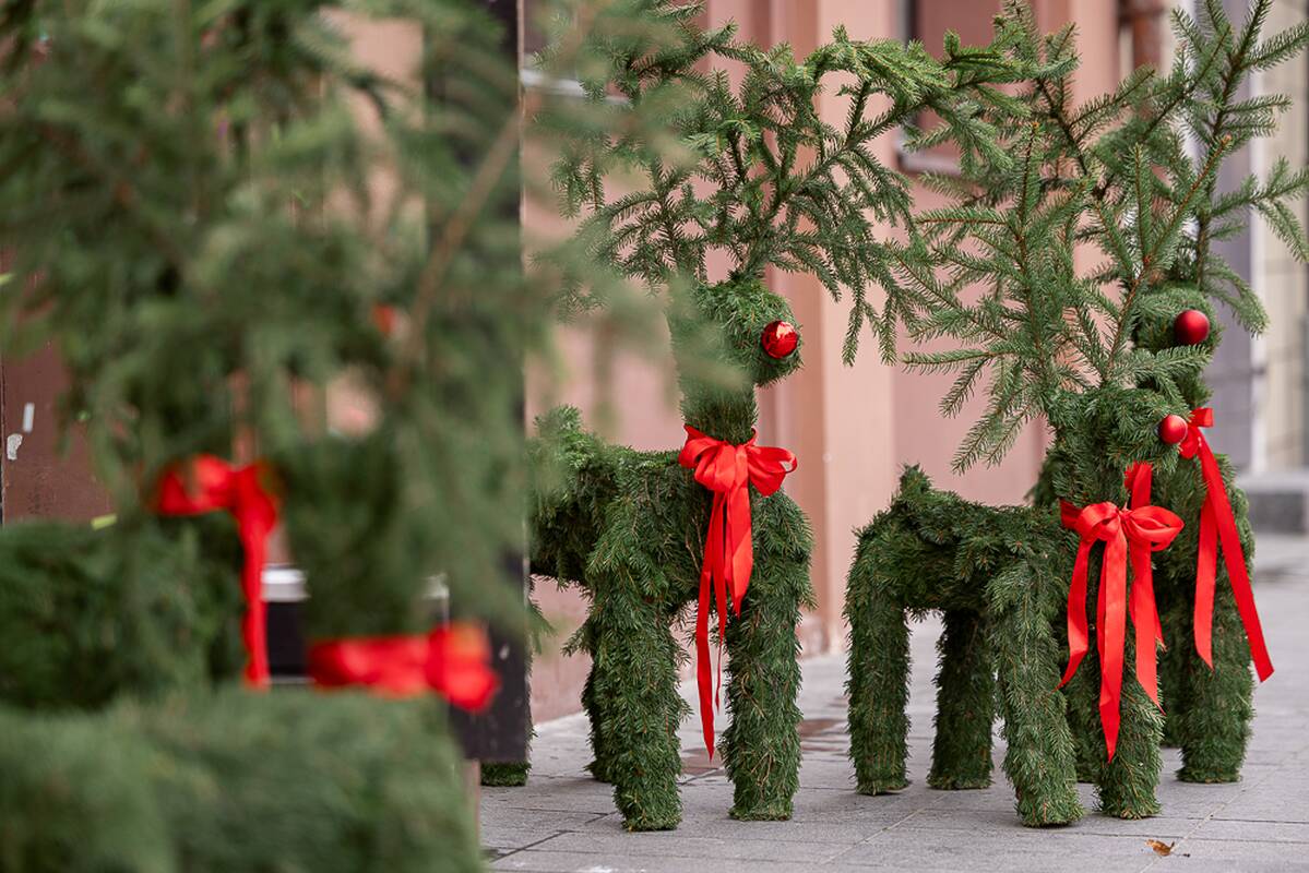 Kalėdinės Kauno vitrinos