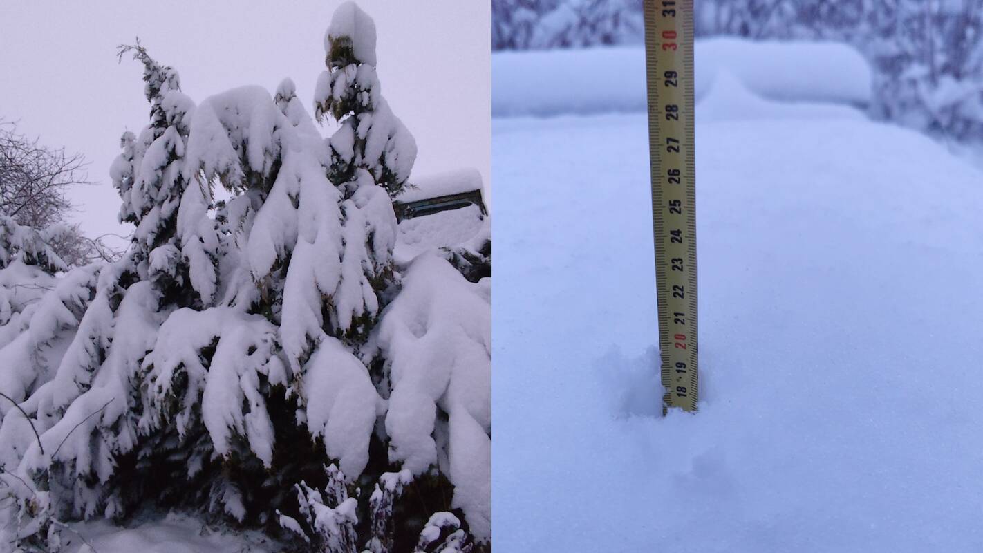 Žiema įsismarkauja: sniego paklotė kai kur siekia ir apie 20 cm