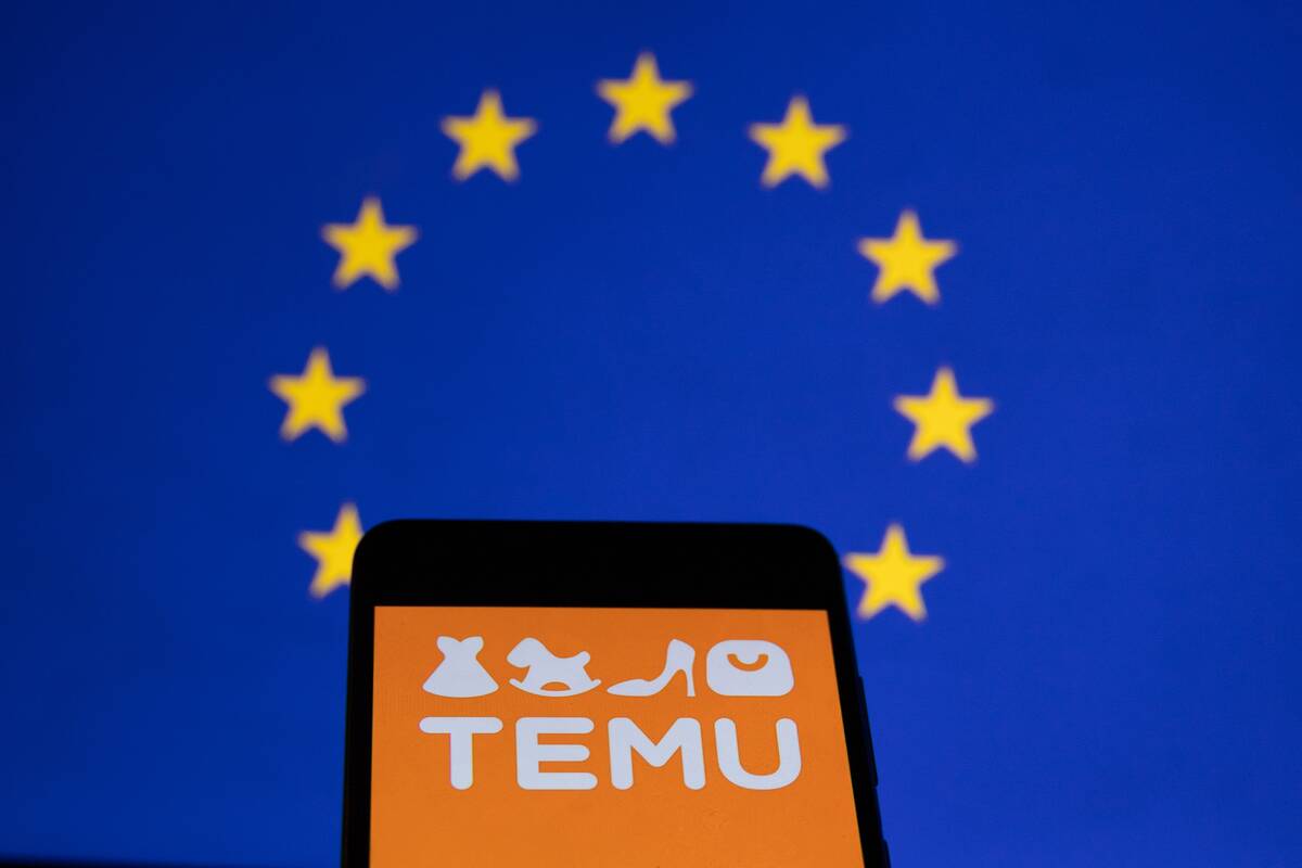 ES apsisprendė: brangs prekių iš Kinijos atsisiuntimas