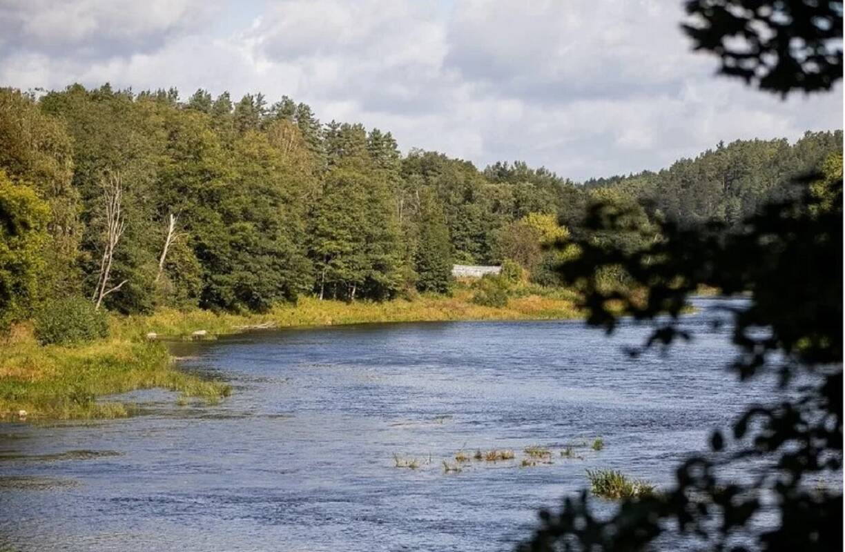 Vidaus vandens kelių direkcija nesutinka dėl tariamos padarytos žalos: skųs teismui