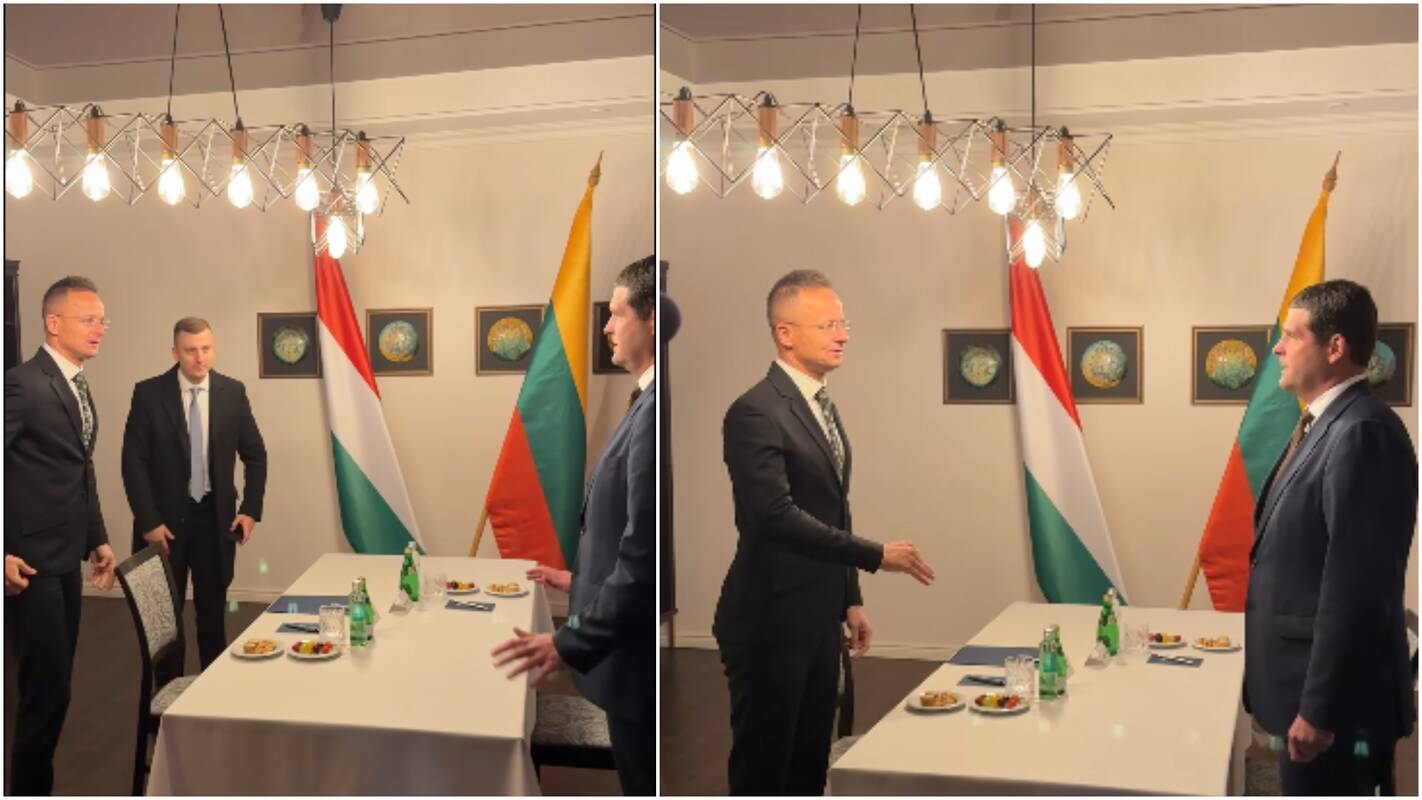 Po naujausių Žemaitaičio veiksmų – kritika