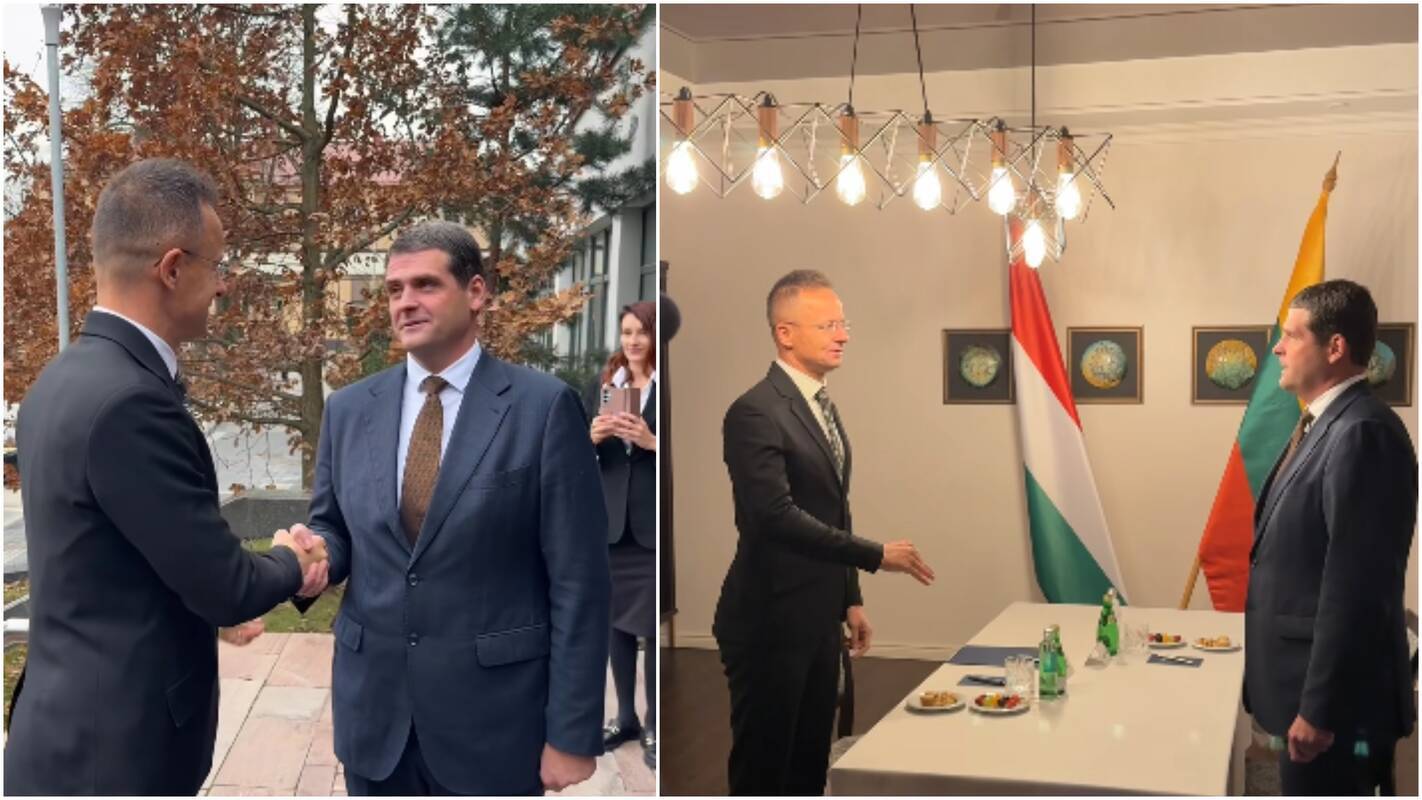 Analizė: žiniasklaida „aušriečių“ vedlio susitikimą su vengrų ministru laikė diplomatiniu kuriozu