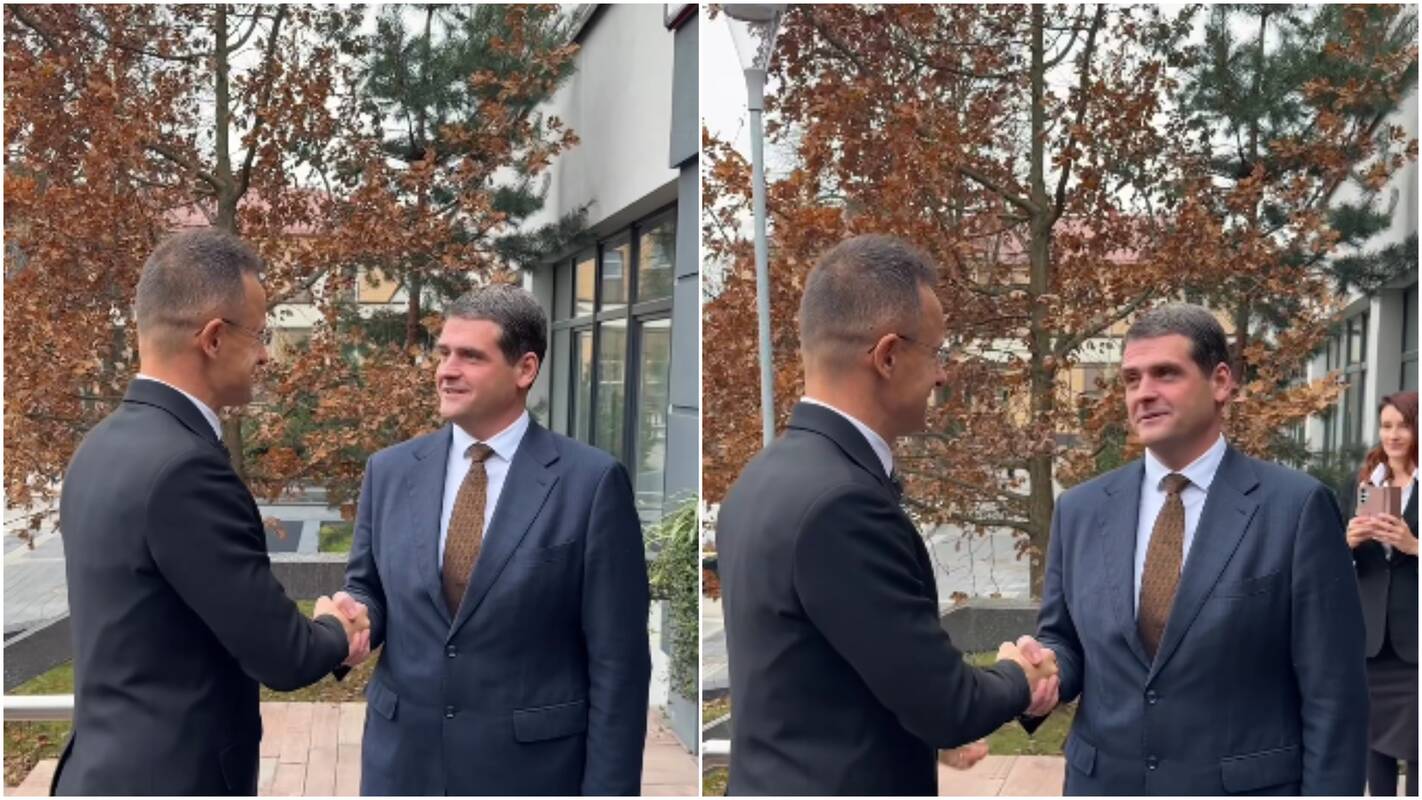 Su Lietuvoje viešinčiu Vengrijos užsienio reikalų ministru susitiko ir Žemaitaitis bei Adomavičius