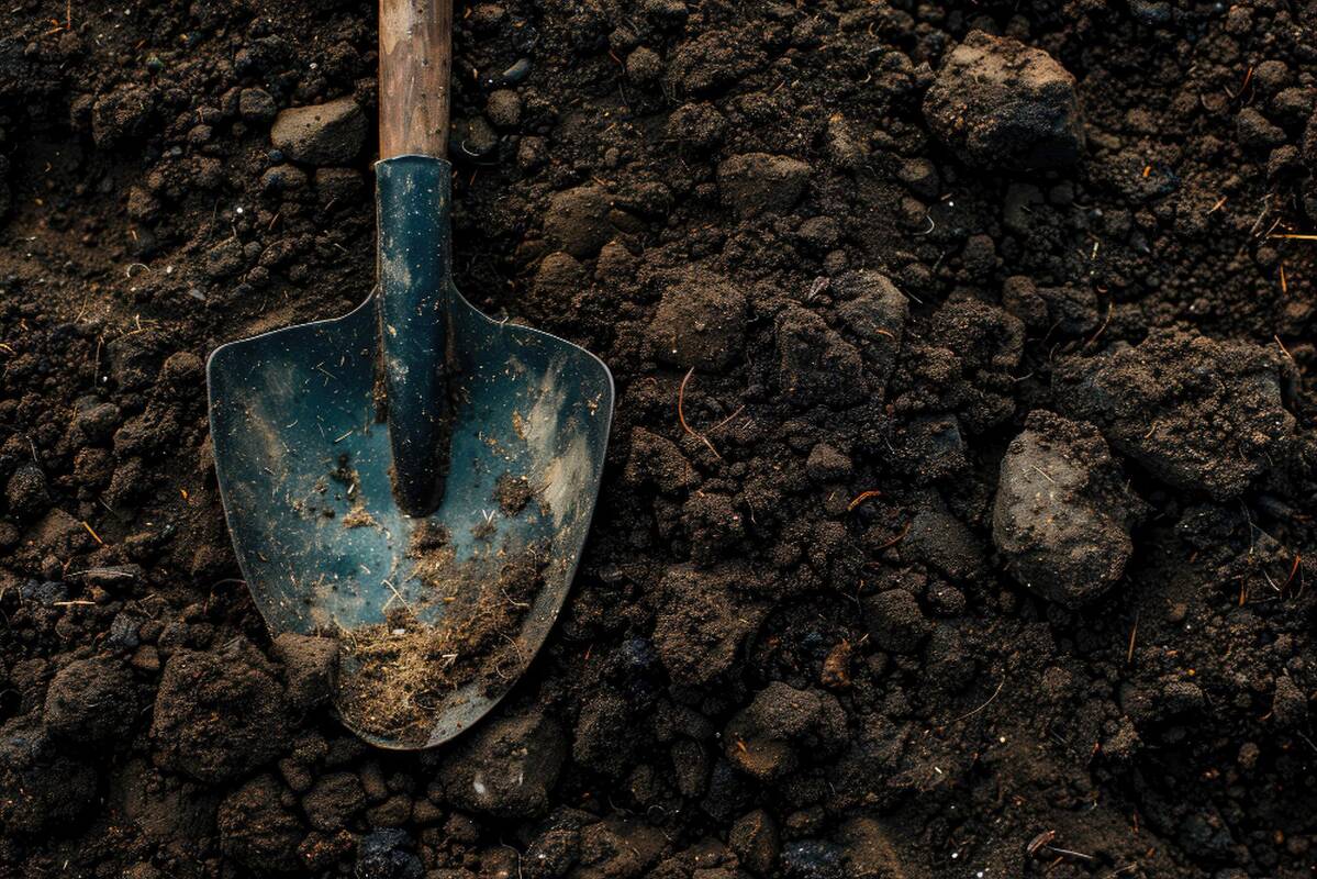 Siaubas per pirmąjį pasimatymą: moteris palaidota gyva