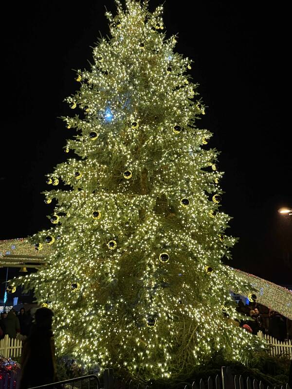 Šakiuose sužibo Kalėdų eglė