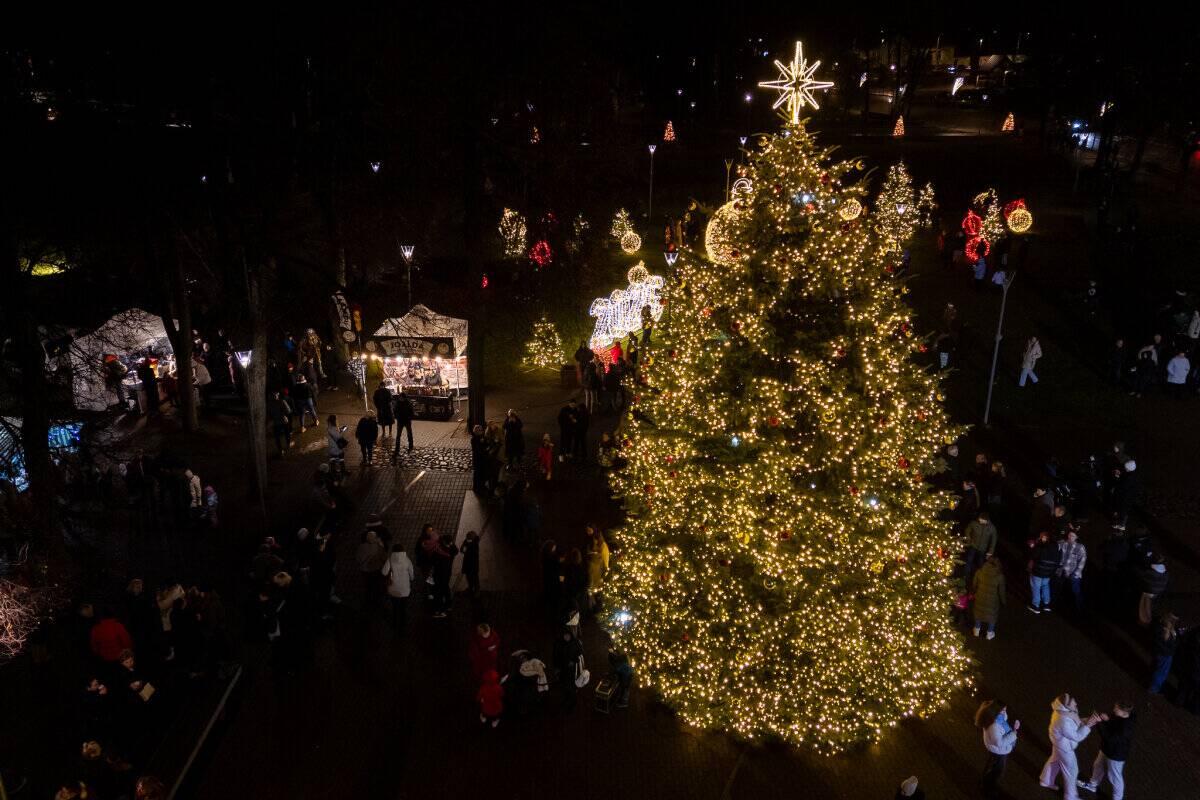 Biržuose įžiebta Kalėdų eglutė