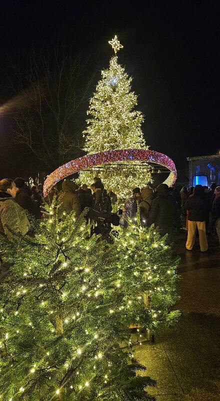 Šakiuose sužibo Kalėdų eglė