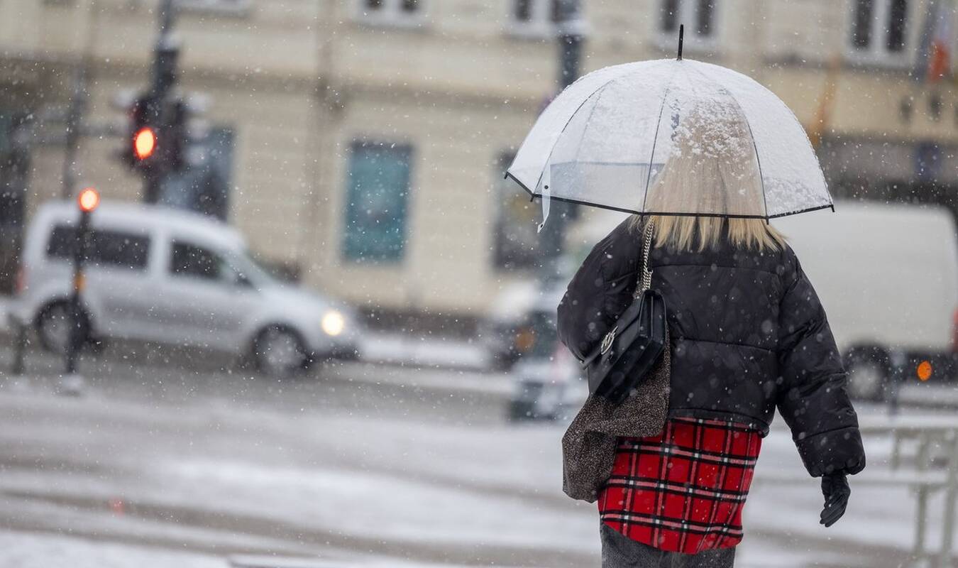 Studentė į teismą padavė savo tėvą: tu privalai mane išlaikyti