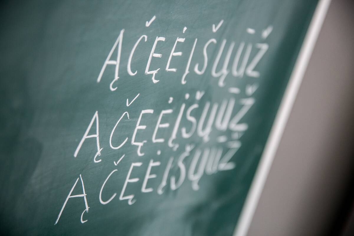 Ministrų kabinetas – už migracijos politikos griežtinimą, tačiau siūlo patikslinti ribojimus