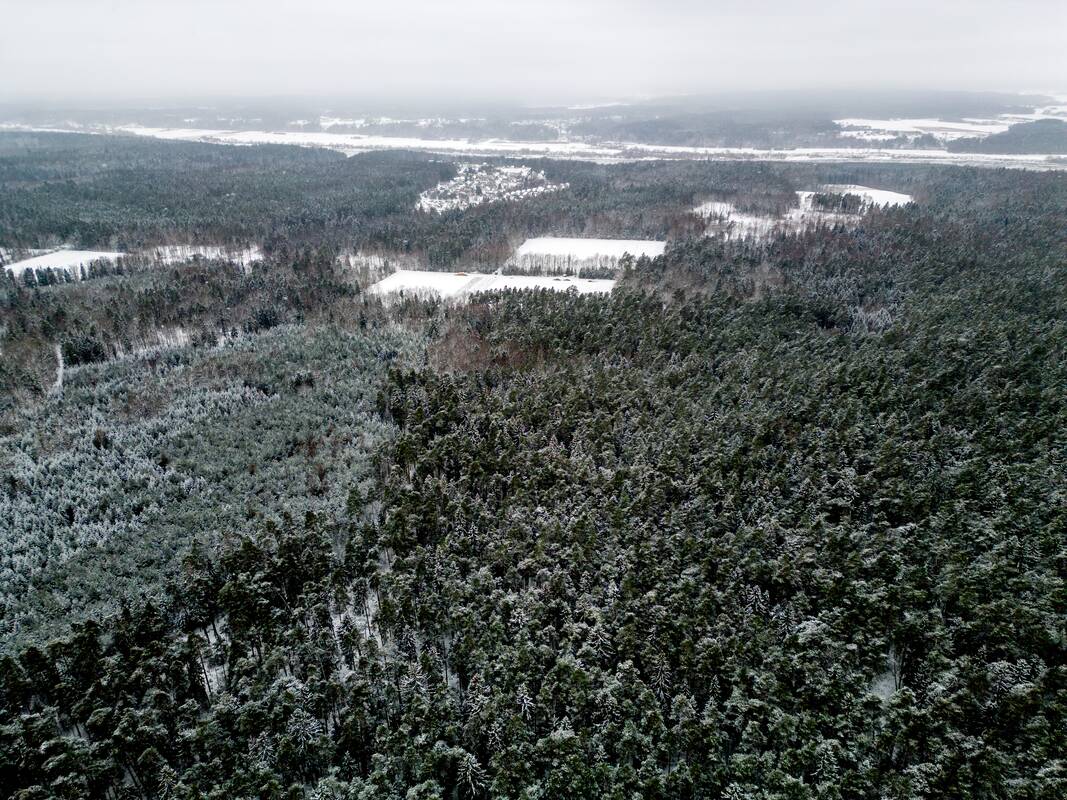 Praėjusios kadencijos metu 120 verslų ir organizacijų siekė daryti įtaką miškų politikai