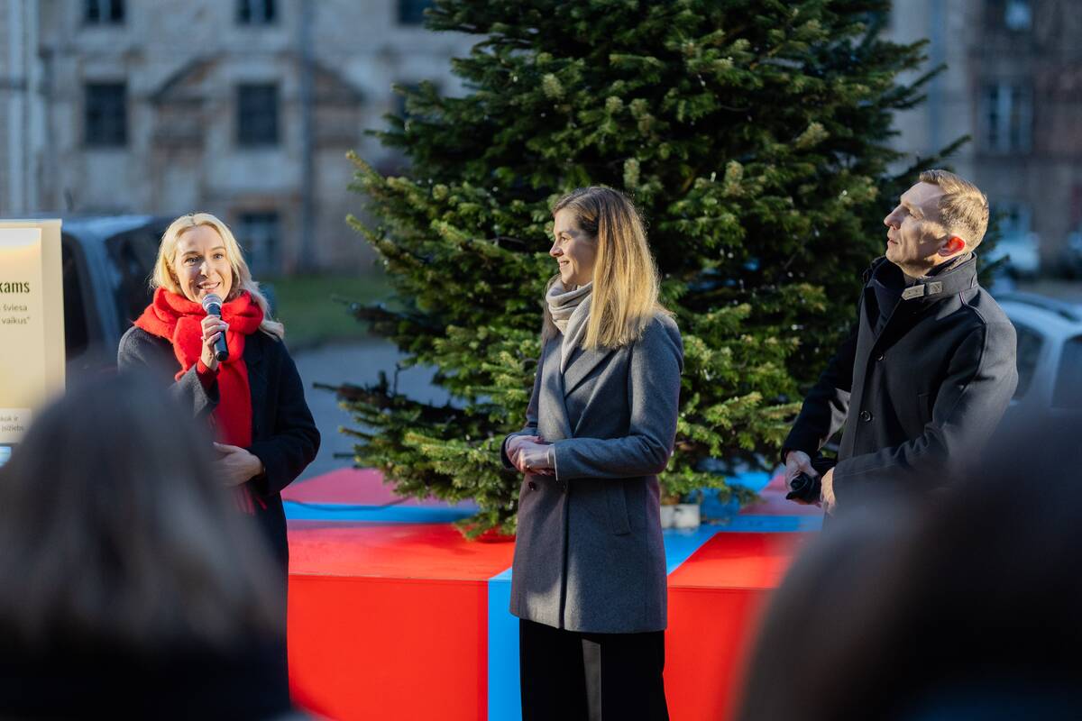 Gerumo eglutės įžiebimas Vilniuje