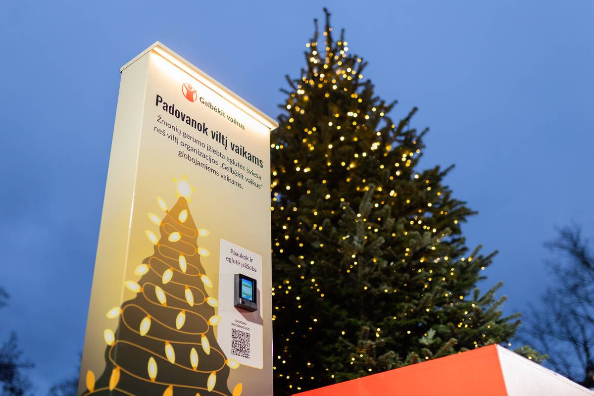 Gerumo eglutės įžiebimas Vilniuje