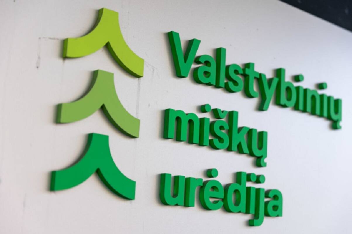 Dėl didžiausio Lietuvoje medinio biurų pastato statybos – ginčas teisme